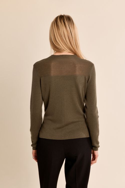 Long-sleeved top, semi-transparent collar