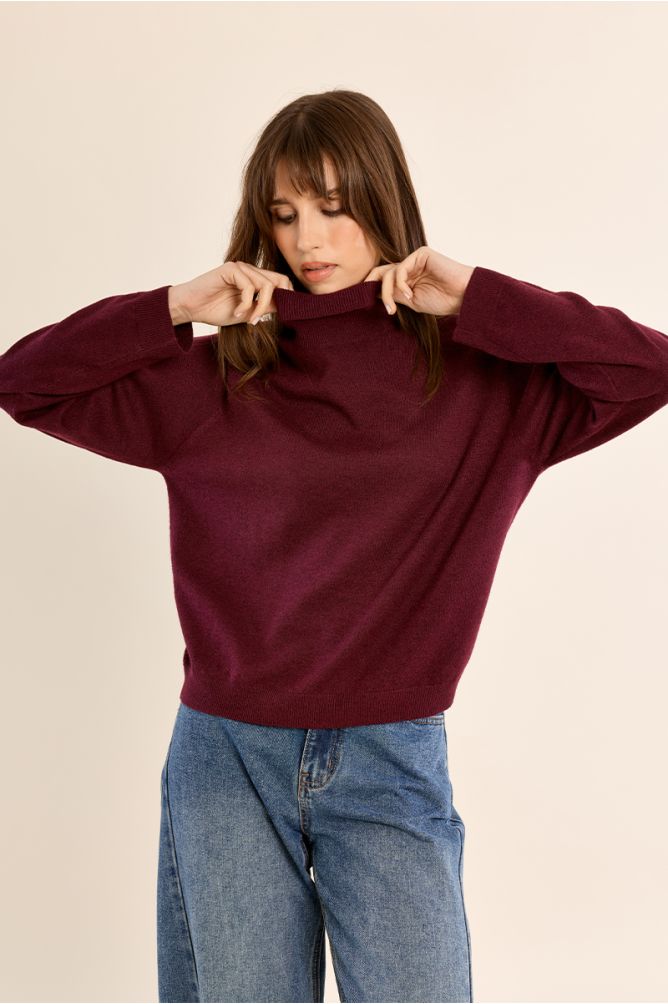 Pull col roulé en maille