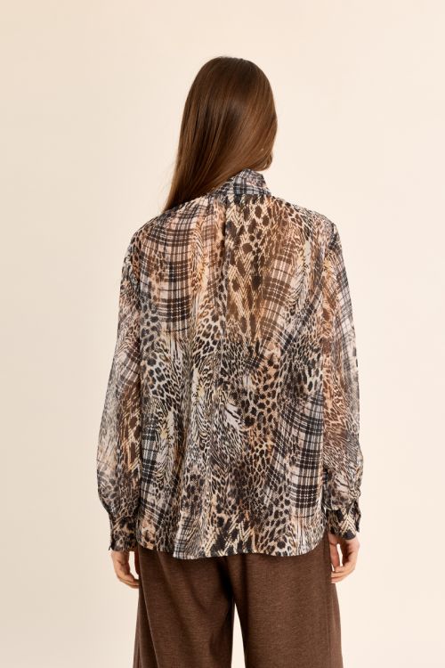 Voile blouse, collar