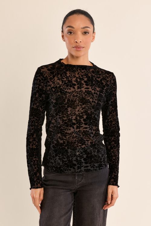 Semi-transparent top with stand-up collar