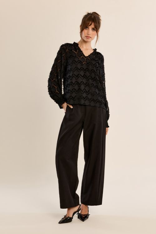 Blouse semi-transparente, col V