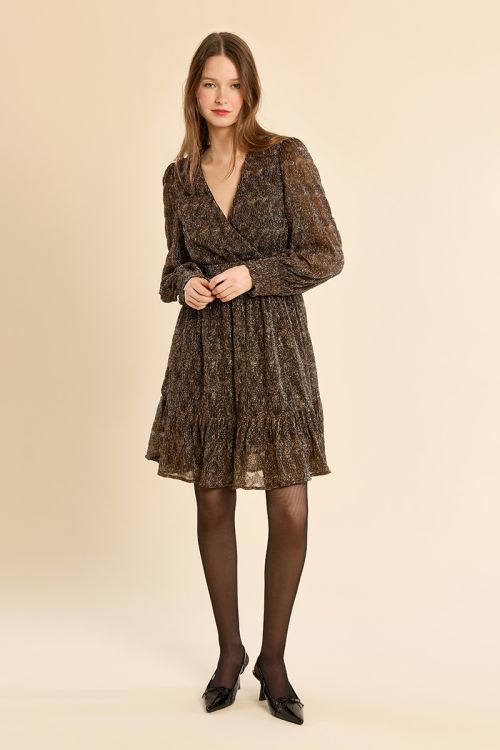 Short dress, semi-transparent sleeves