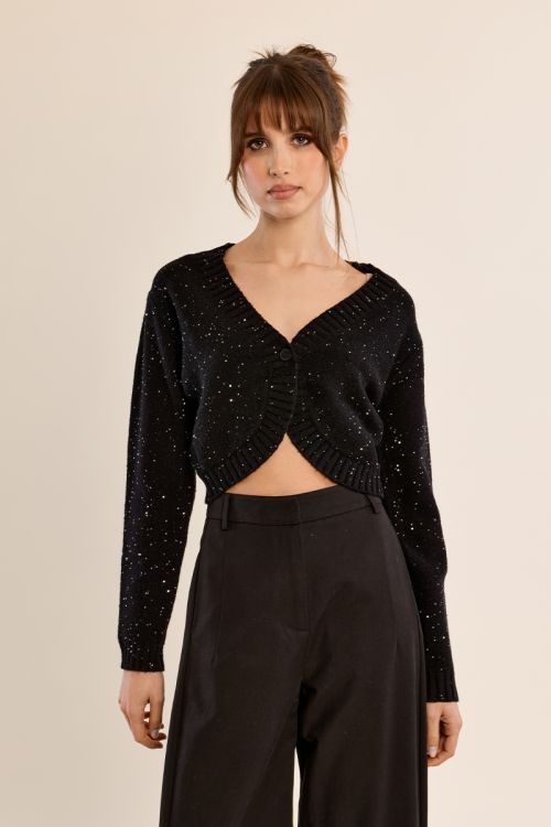 Bolero sprinkled with sequins