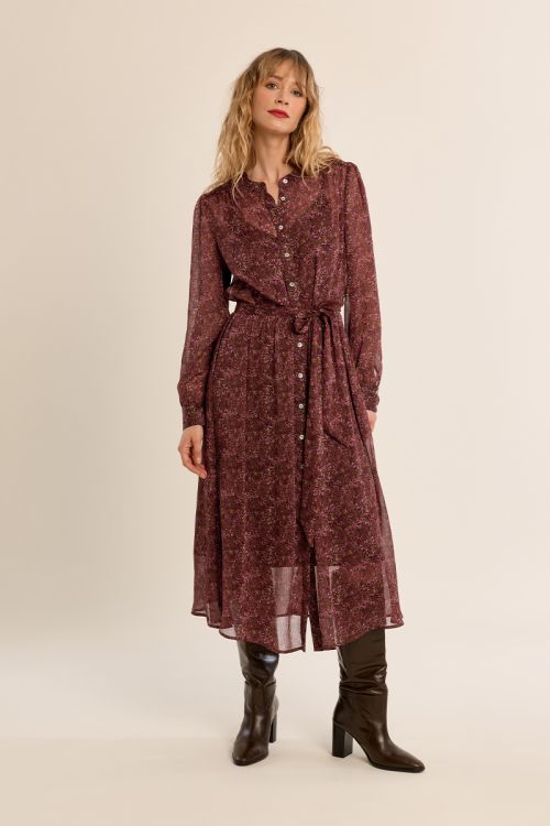Long dress, in semi-transparency