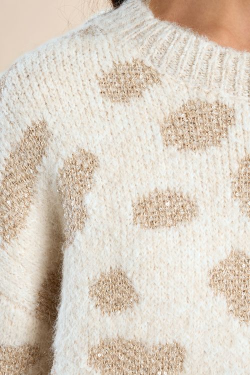 Pull léopard en maille irisée
