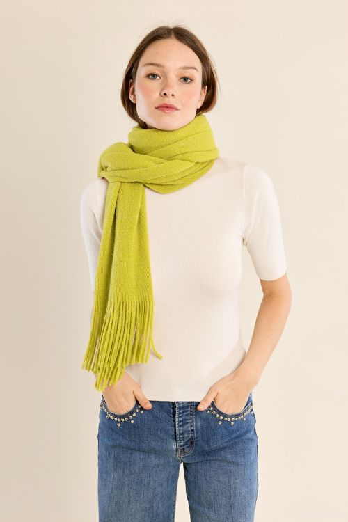 Plain scarf, fringed