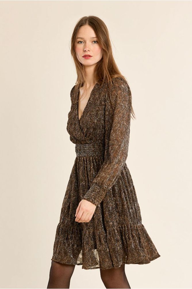 Short dress, semi-transparent sleeves