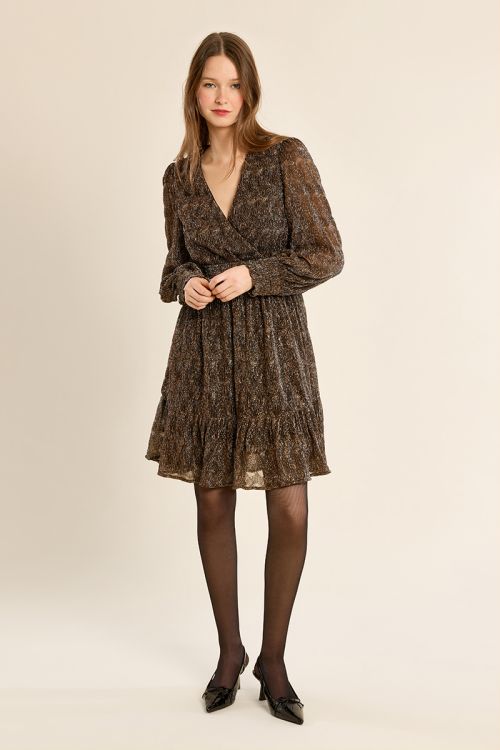 Robe courte, manches en semi-transparence