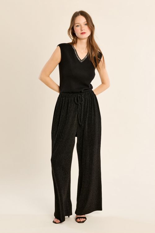 Flared pants, with sequins