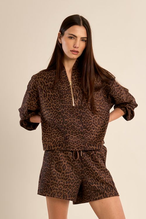 Colette printed Shorts