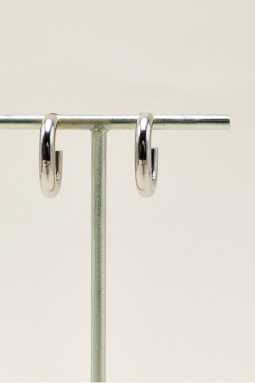 SILVER LOOPS