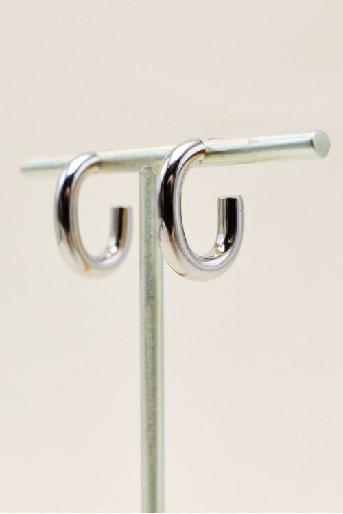 SILVER LOOPS