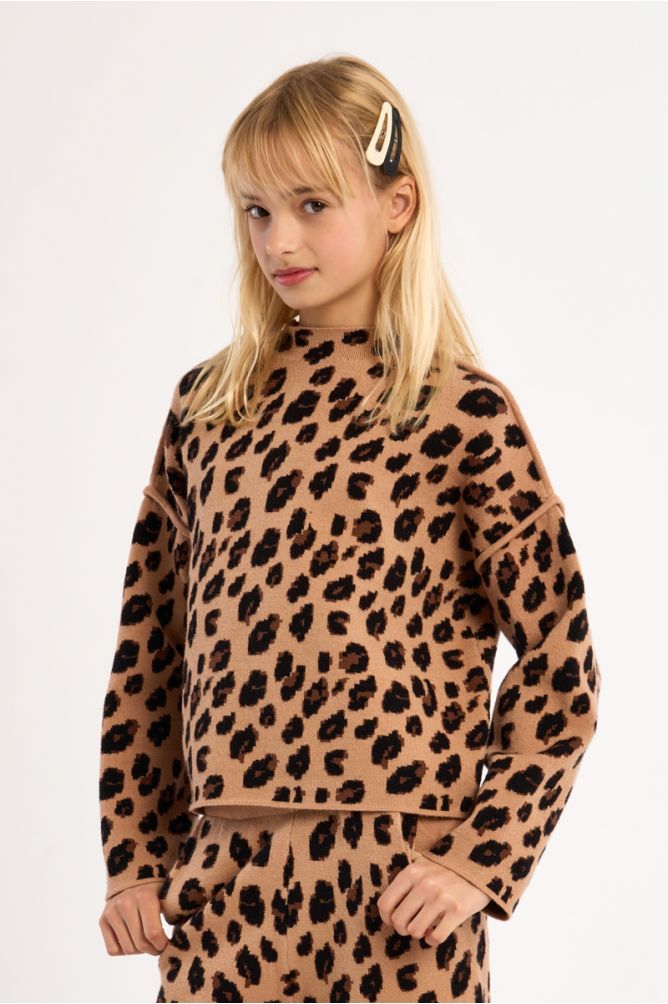 Pull en maille, imprimé animalier