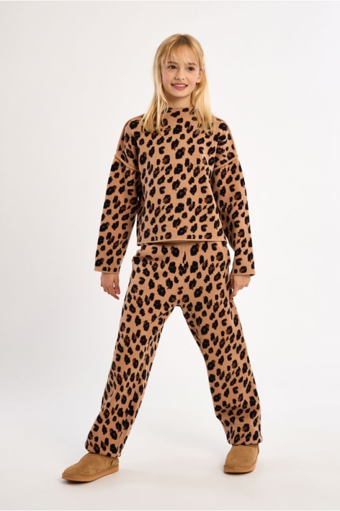 Knitted Sweater, Animal Print
