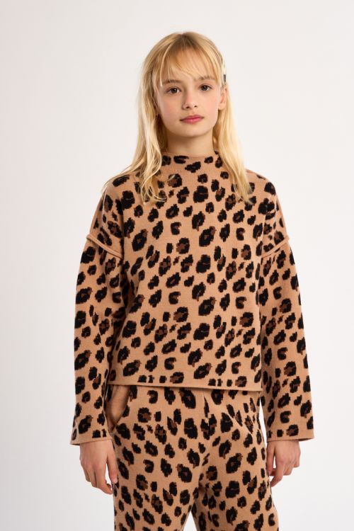 Pull en maille, imprimé animalier