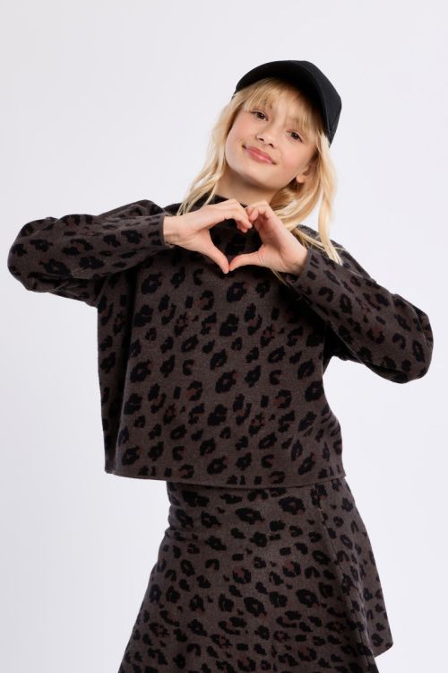 Pull en maille, imprimé animalier