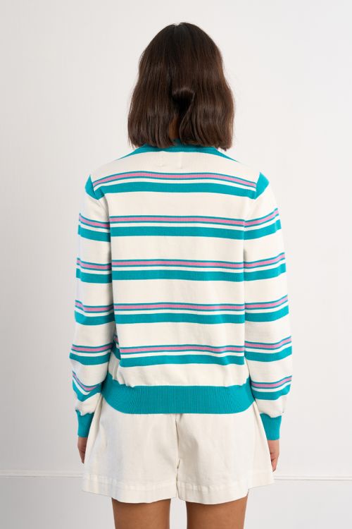 Striped Dachshund Vest