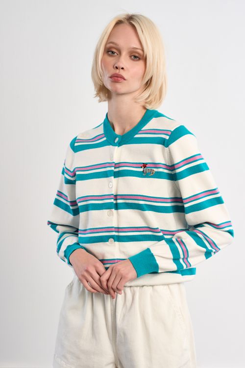 Striped Dachshund Vest