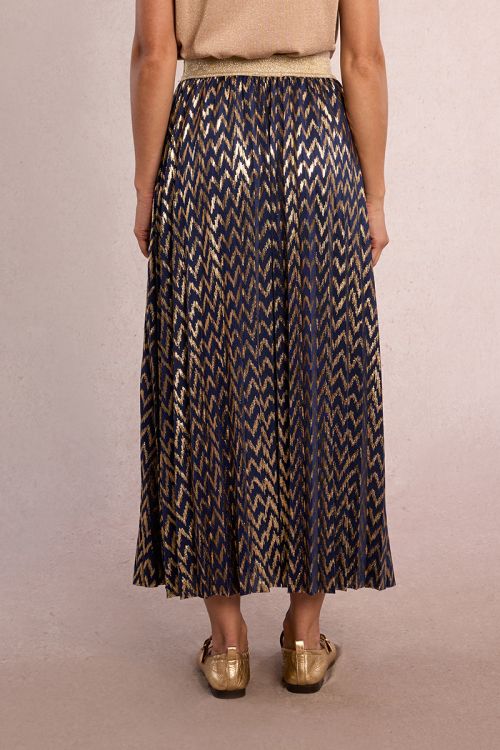 Longue jupe plissée, irisée