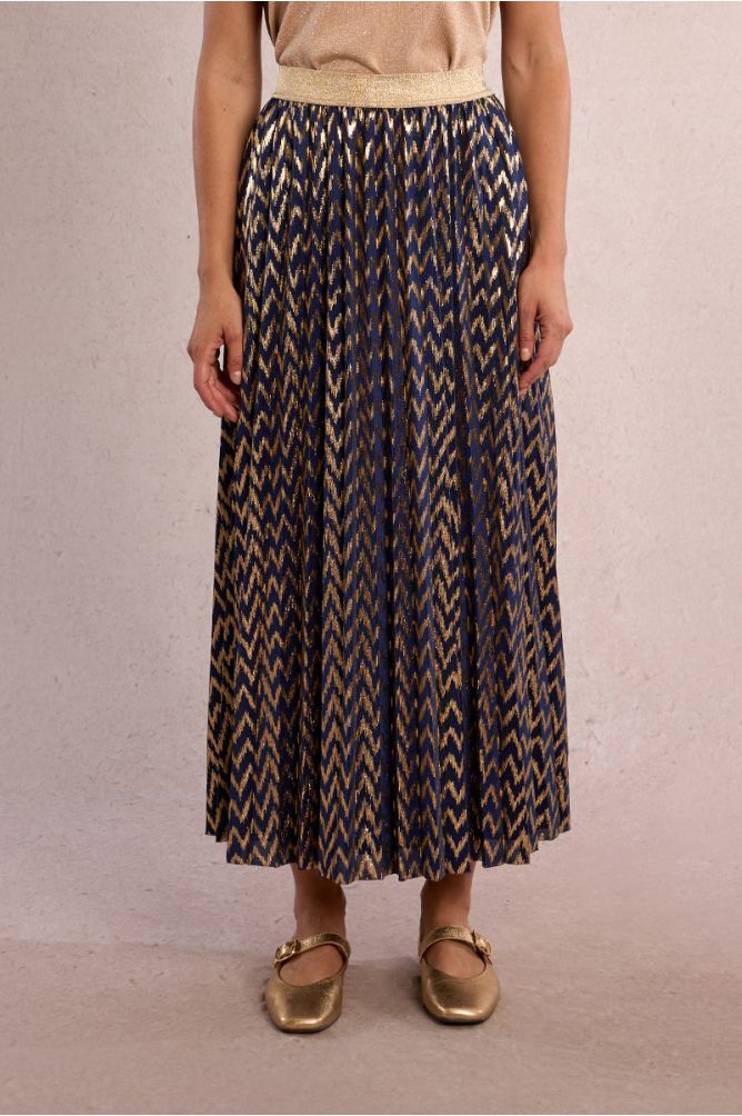 Longue jupe plissée, irisée