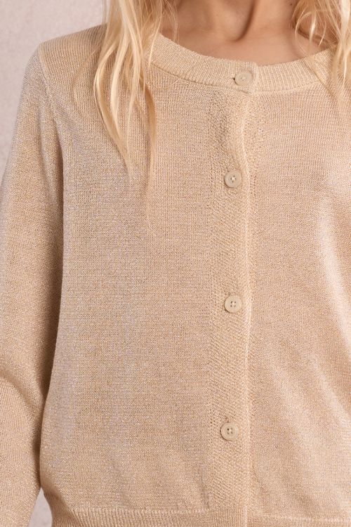 Gilet irisé
