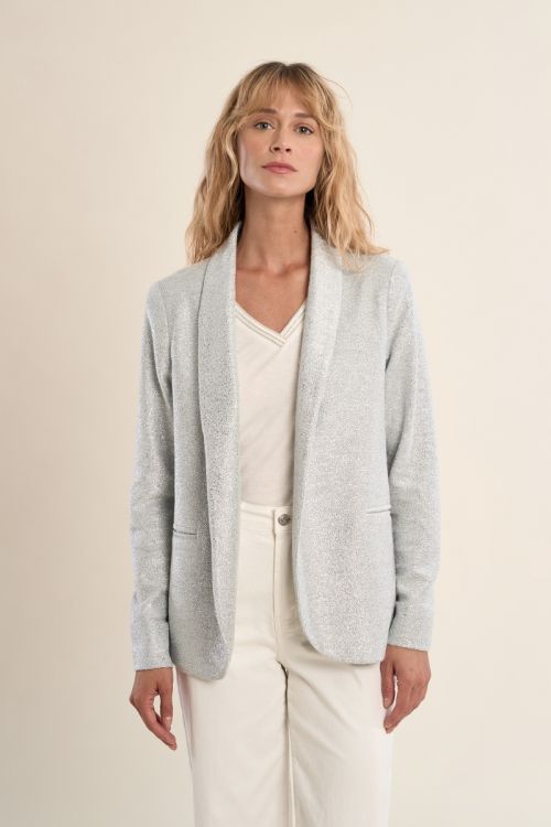 Blazer droit, irisé