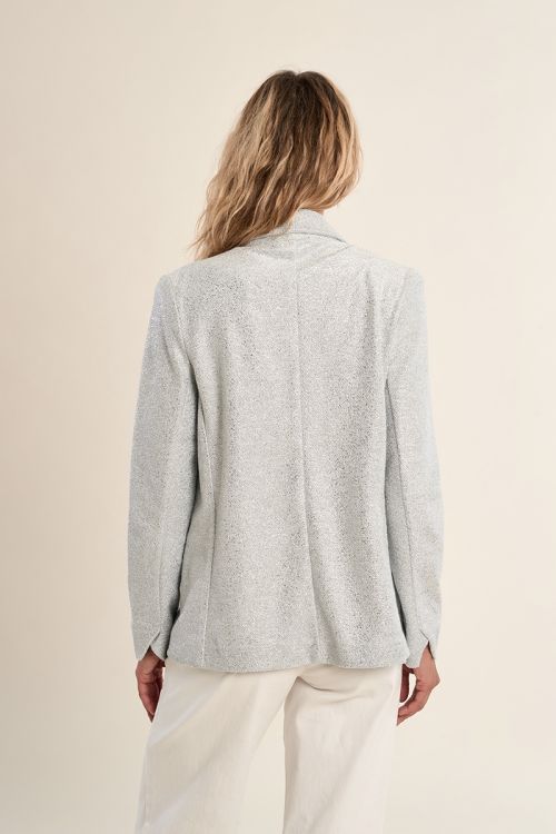 Blazer de mujer de manga larga, en tejido brillante.