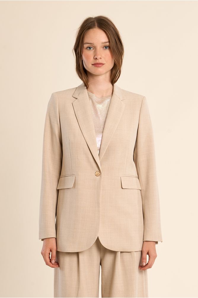 Blazer de mujer de manga larga, cuello y solapa
