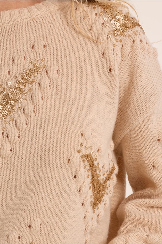 Sweater with fancy details