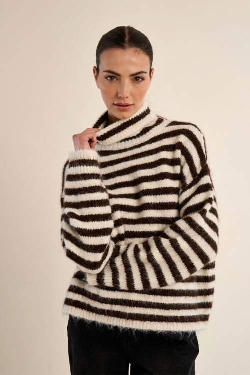 Striped turtleneck sweater