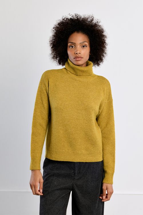 Pull col roulé uni