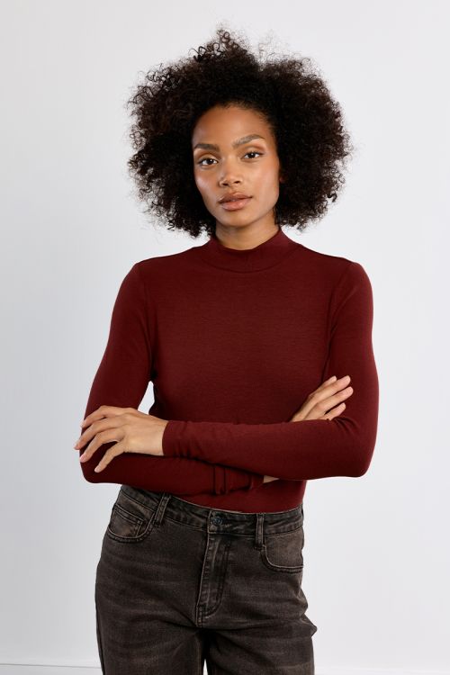 Sous-pull col montant