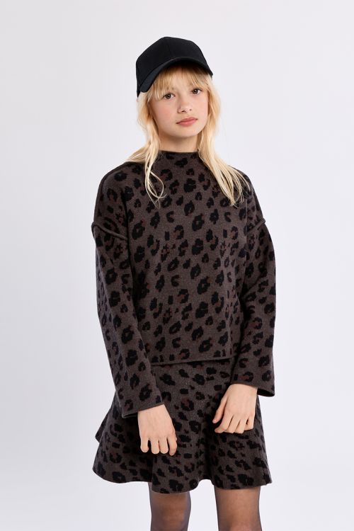 Pull en maille, imprimé animalier