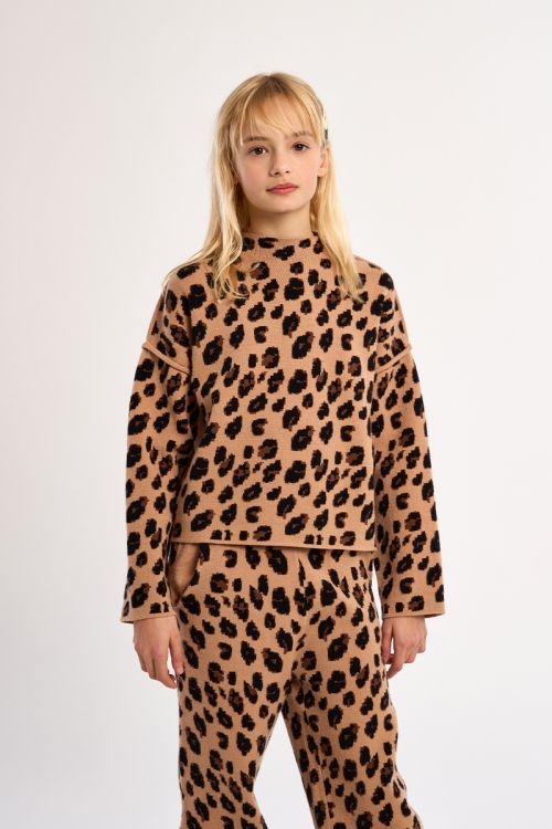 Jersey de manga larga con estampado animal