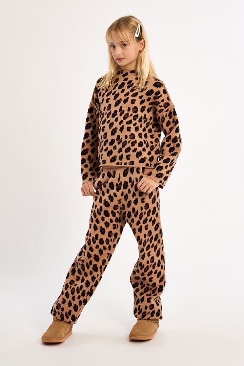 Pull en maille, imprimé animalier