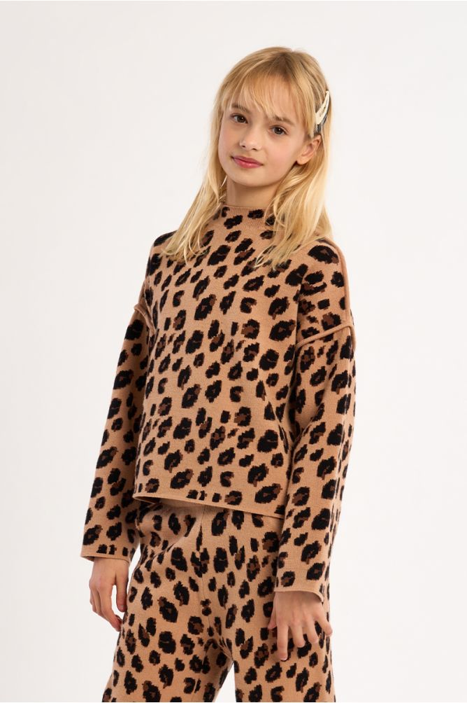 Jersey de manga larga con estampado animal