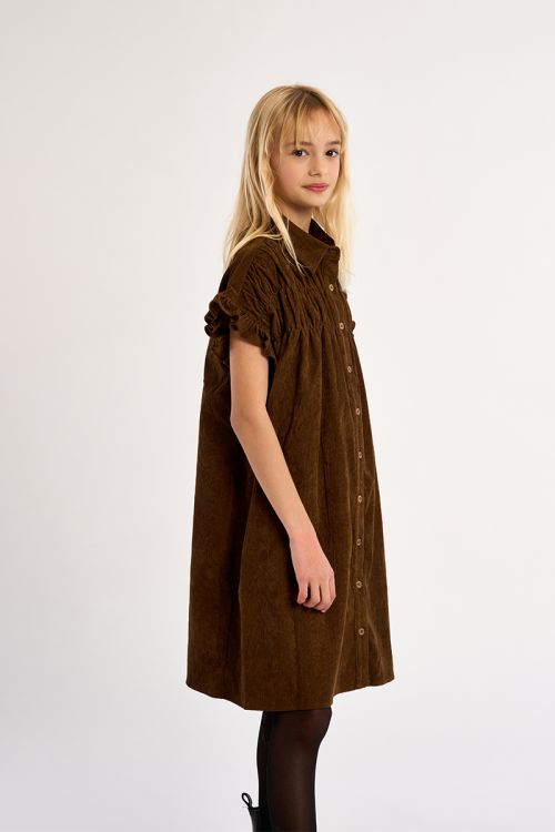 Ruched shirt dress