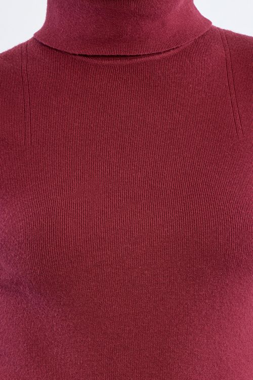 Top de manga sisa y cuello alto