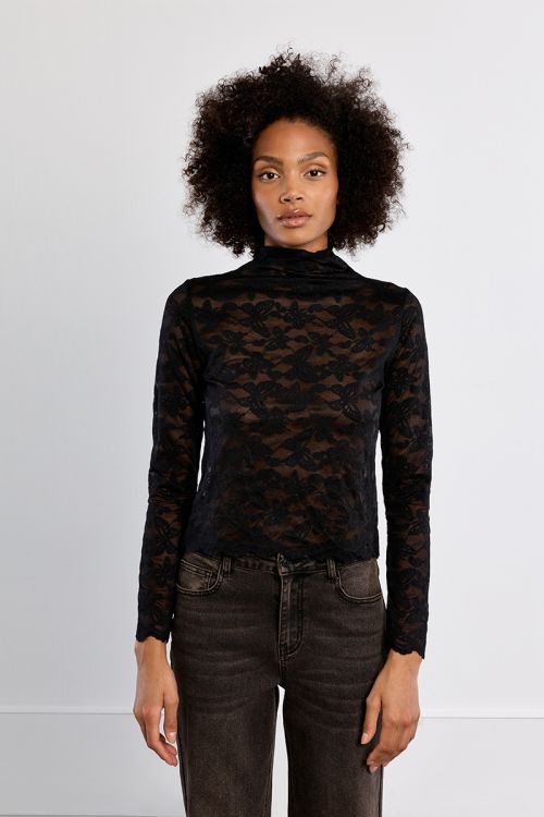 Embroidered mesh top, semi-sheer