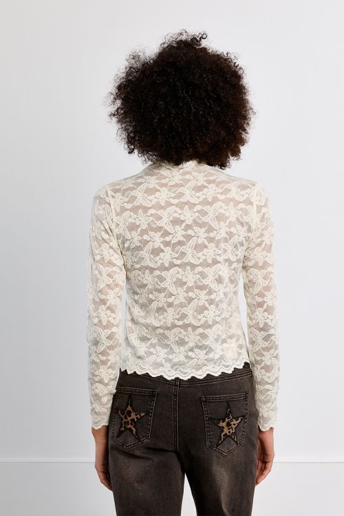 Embroidered mesh top, semi-sheer