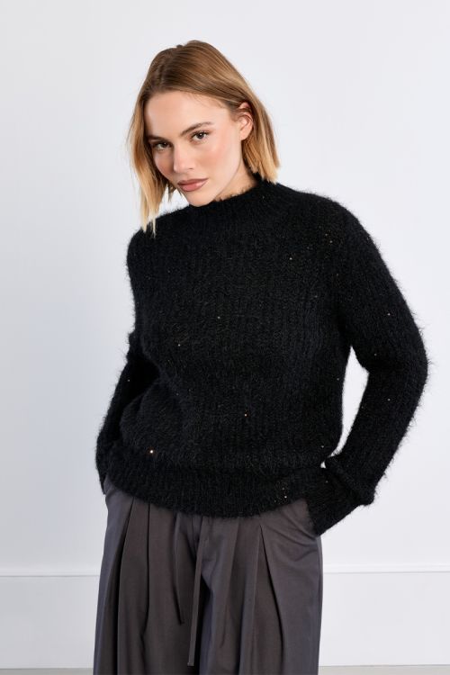Pull col roulé, pailleté