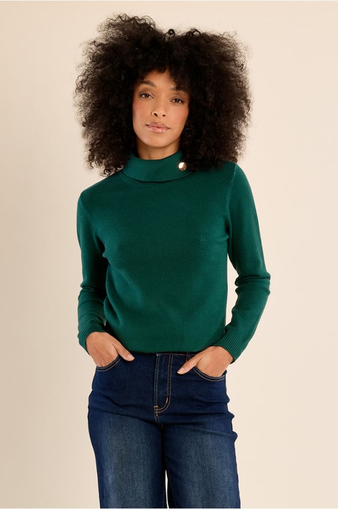 Pull en maille fine, col roulé