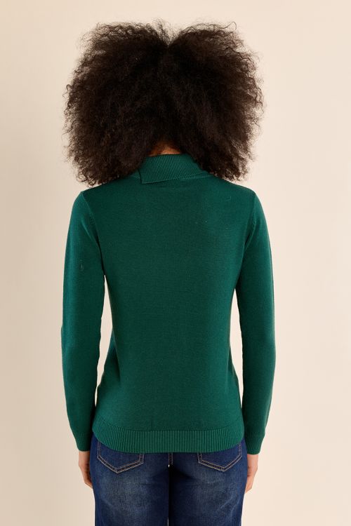 Pull en maille fine, col roulé