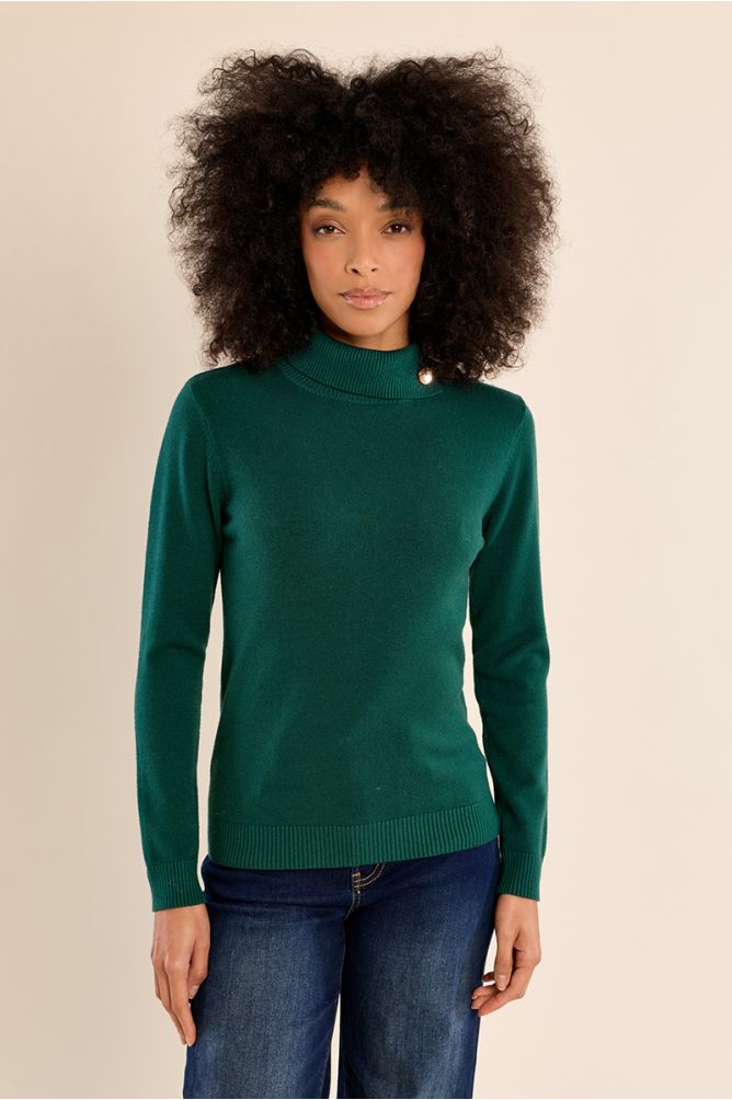 Pull en maille fine, col roulé