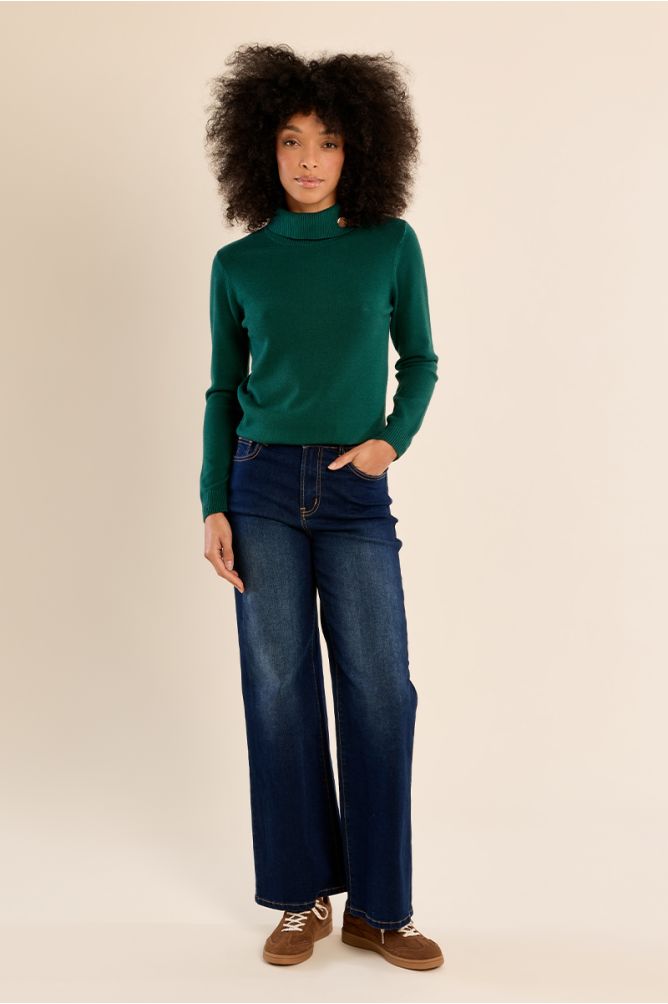 Pull en maille fine, col roulé