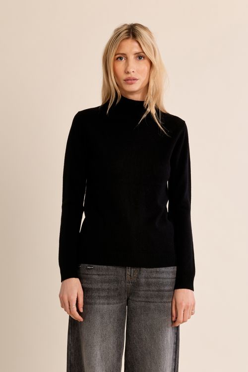 Pull en maille fine, col roulé