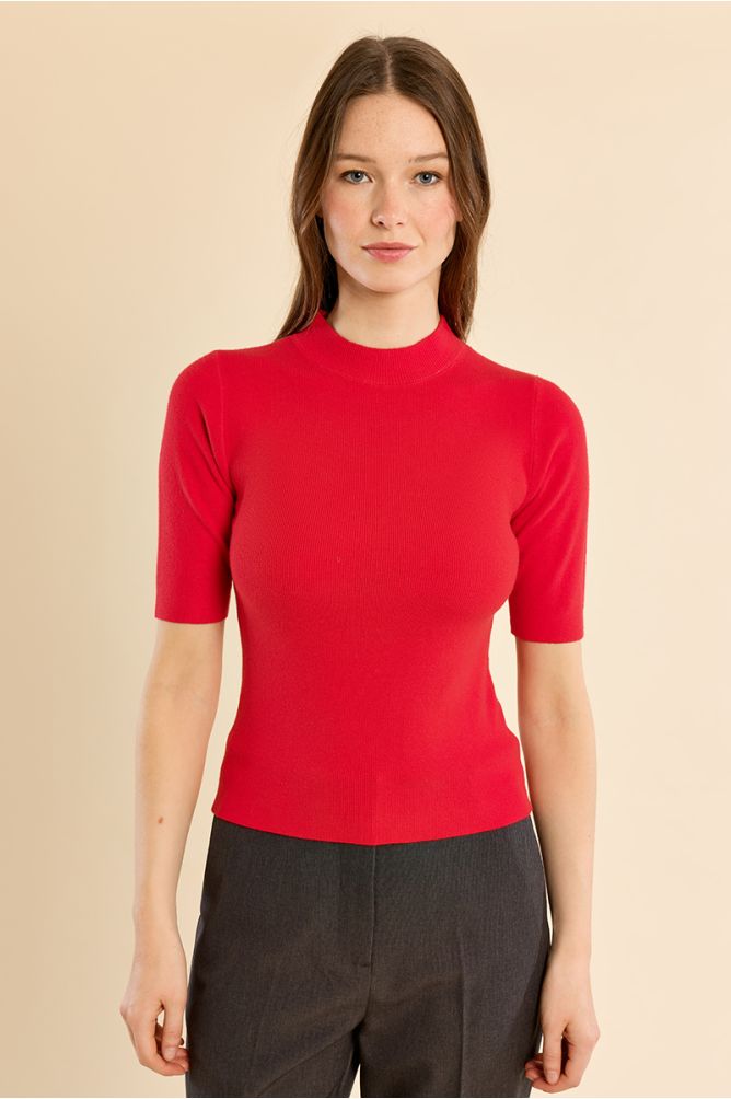 Pull col roulé, manches trois quart