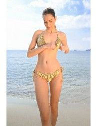 Golden triangle bikini top