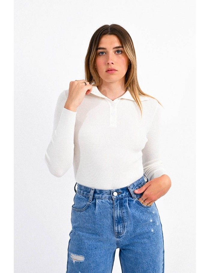 Wide ribbed polo neck sweater