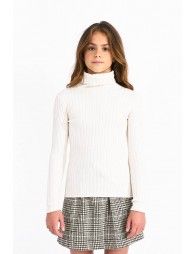 Ribbed jumper, turtleneck
